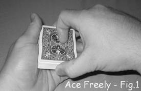 Ace Freely