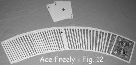 Ace Freely