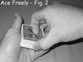 Ace Freely