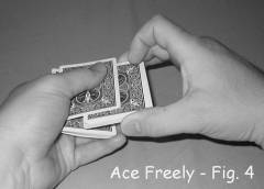 Ace Freely