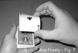 Ace Freely