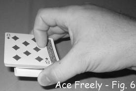 Ace Freely