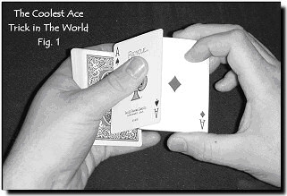 The image “http://www.stonecoldmagicmagazine.com/images/october_2007_free_trick/image_1.jpg” cannot be displayed, because it contains errors.