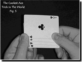 http://www.stonecoldmagicmagazine.com/images/october_2007_free_trick/image_5.jpg